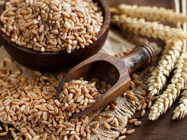 Wheat