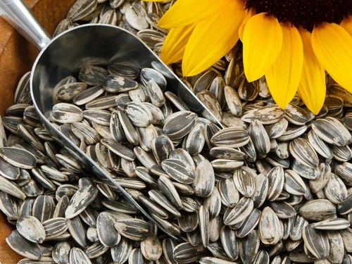 Sunflower Seeds
